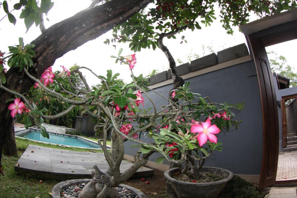 Villa D'Suite Seminyak Exterior foto